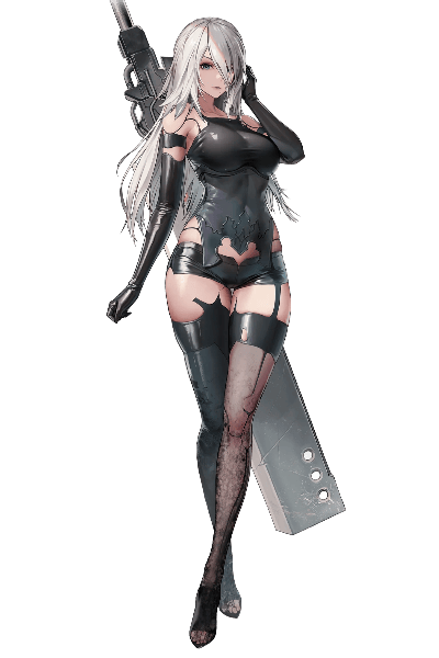 A2