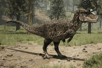 Ceratosaurus