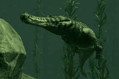 Sarcosuchus