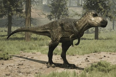 Daspletosaurus