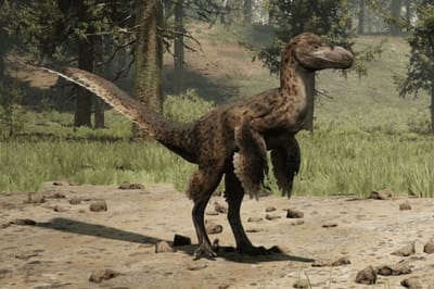 Latenivenatrix