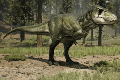 Tyrannosaurus