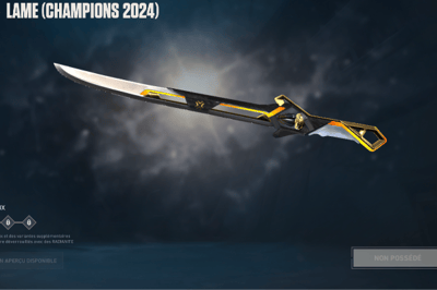 lame 2024