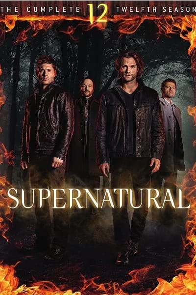 Temporada 12 (2016-2017)