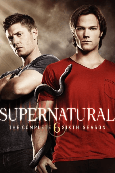 Temporada 6 (2010-2011)