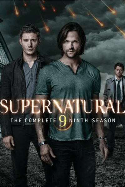 Temporada 9 (2013-2014)