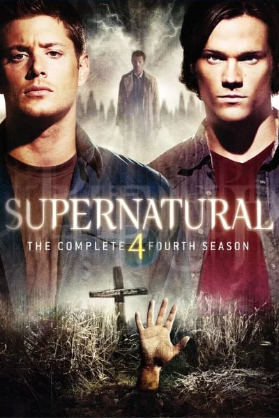 Temporada 4 (2008-2009)
