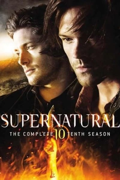 Temporada 10 (2014-2015)