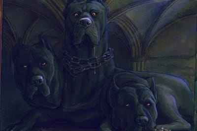 Le Chien à 3 têtes