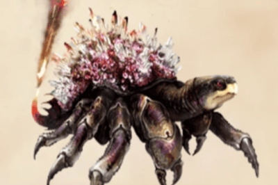 Le Crabe de feu