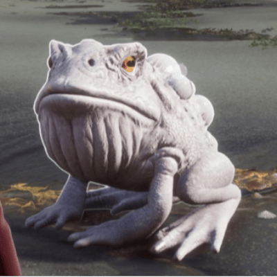 Crapaud violet géant