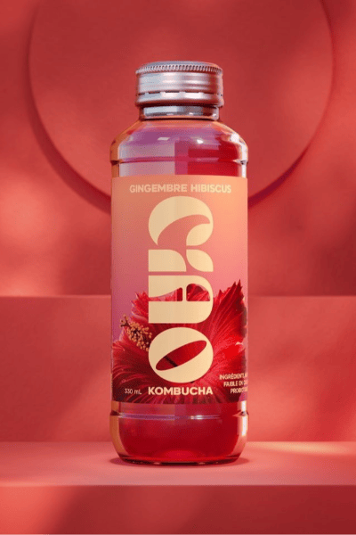 Gengibre Hibisco