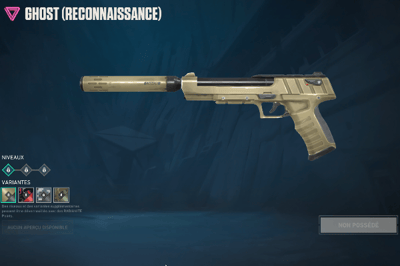 Reconnaissance