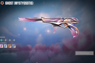 Mystyosotis
