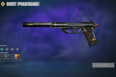 Phaseguard