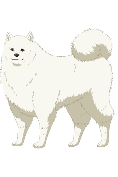 Riku