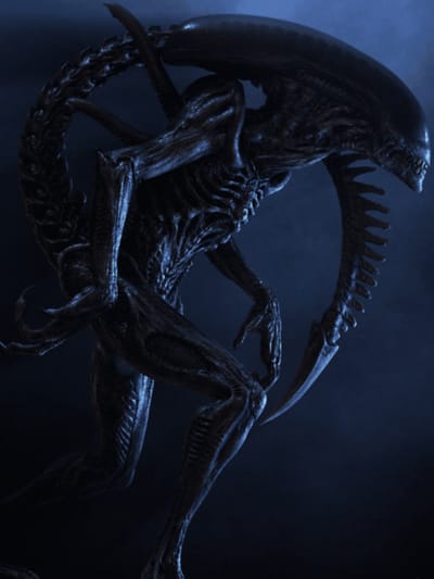 Xenomorfo