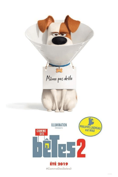 PETS 2 – MISSIONE CIAO CIAO (2019) – ILLUMINATION