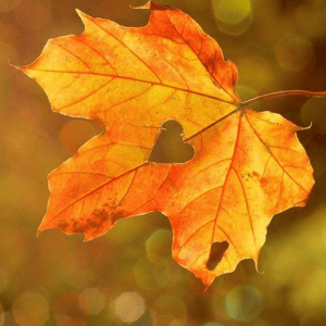 Autunno