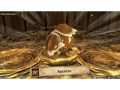 Apceros