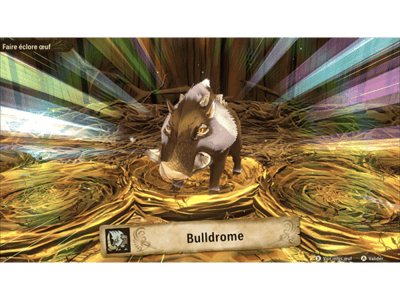 Bulldrome