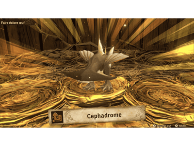 Cephadrome
