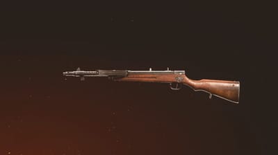 Type 100