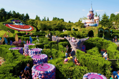 Alice’s Curious Labyrinth