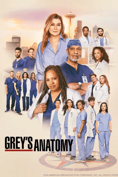 2. Grey's Anatomy (47.85 miliardi di minuti)