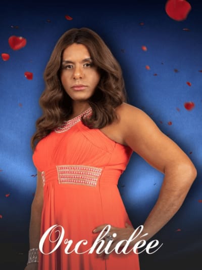 Orchidée
