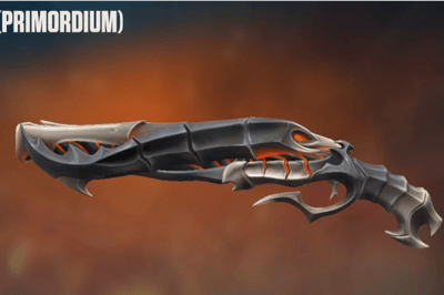 Primordium