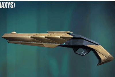 Araxys