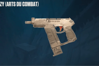 Arts du combat