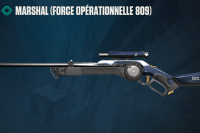 Task Force 809