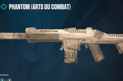 Arts du combats