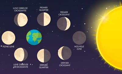 Le 8 fasi della Luna
