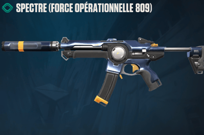 Task Force 809