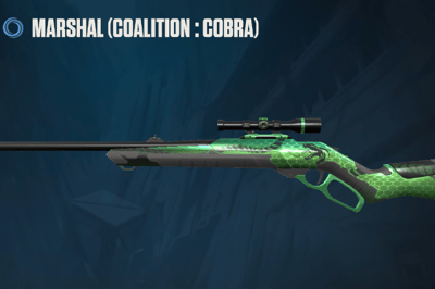 Coalition cobra