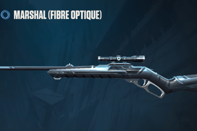 Fibre optique