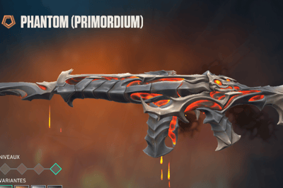 Primordium