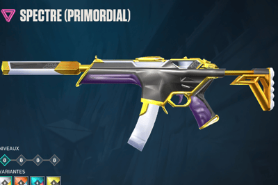 Primordium
