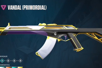 Primordium
