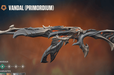 Primordium