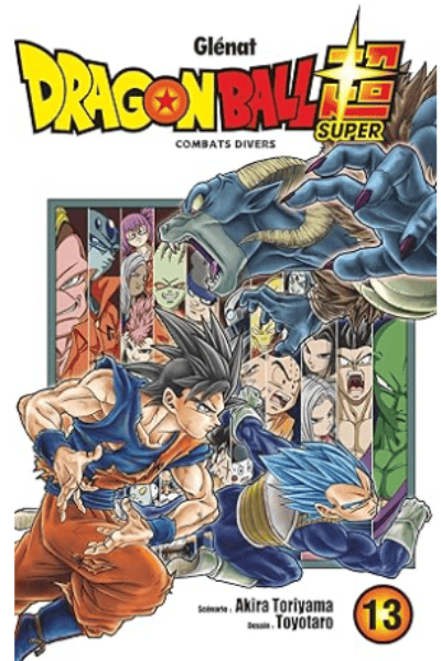Volume 13