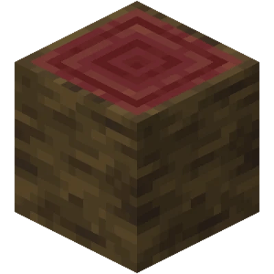 Bûche de palétuvier