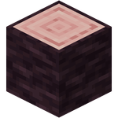 Bûche de cerisier