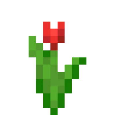 Tulipano rosso