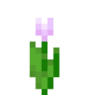 Tulipano rosa
