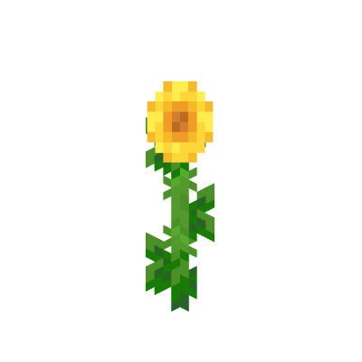 Girasole