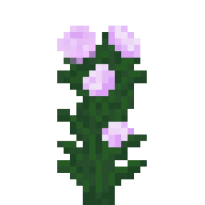 Peonia